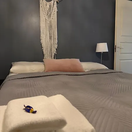 Cozy Near Santa Appartement *